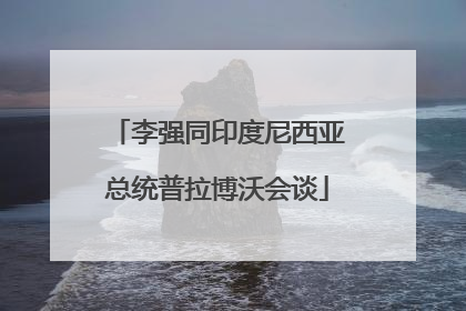 李强同印度尼西亚总统普拉博沃会谈